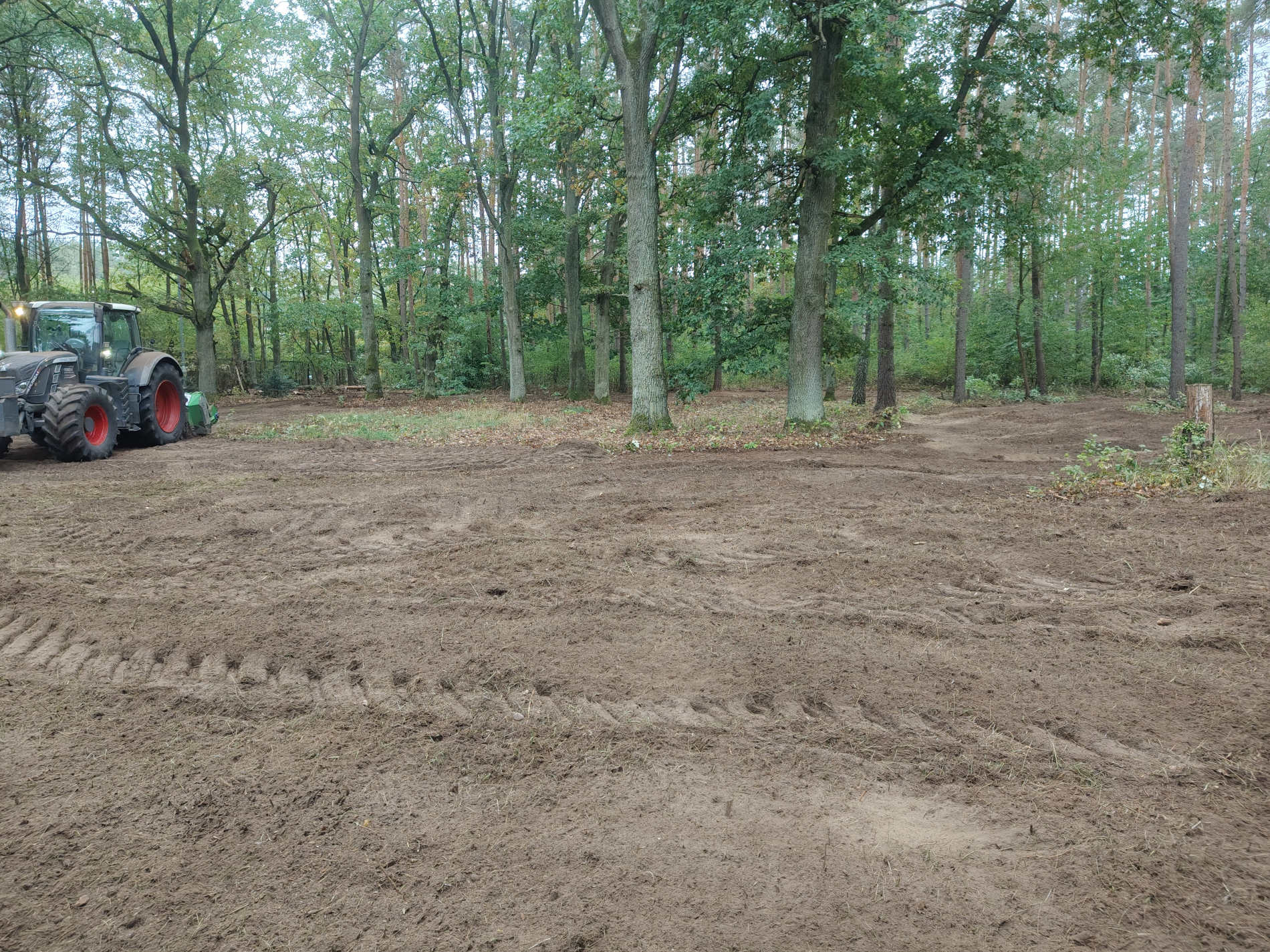 Czyszczenie działek