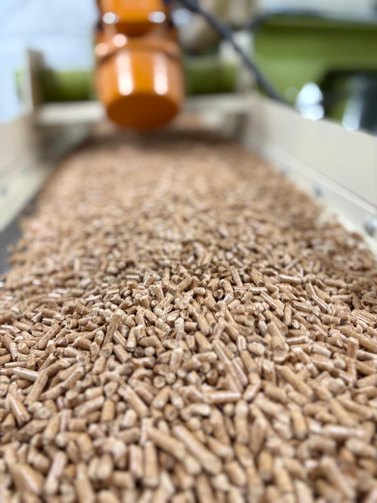 Sprzedaż drewna i pelletu