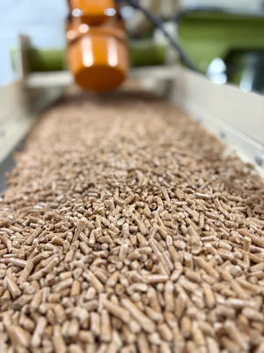 Handel drewnem i pelletem